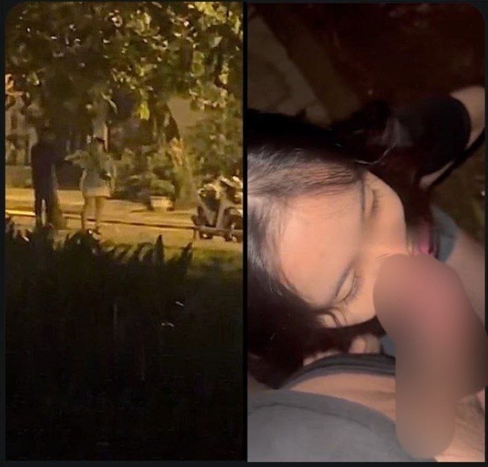 Ân ái bí mật chịch nhau miệng ở công viên